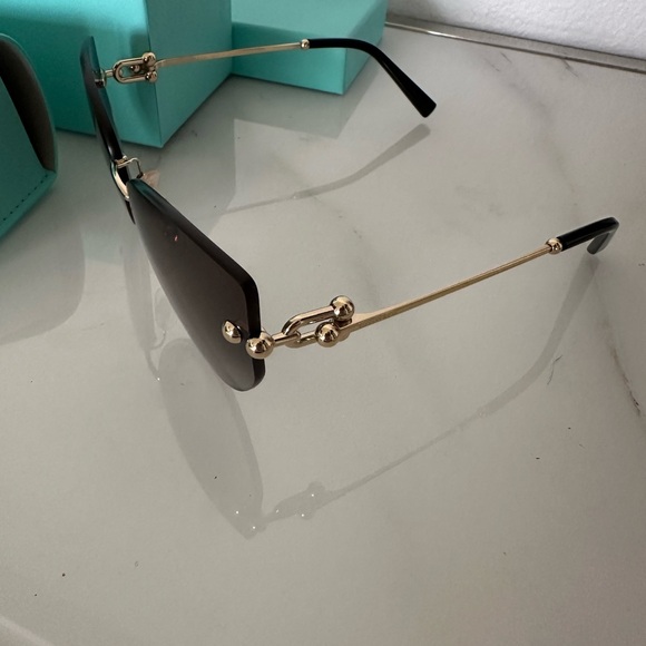 Tiffany & Co. 
Brand new pair
Dark gray with gold details - Picture 4 of 6